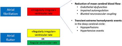 Commentary: Differential Risk of Dementia Between Patients With Atrial Flutter and Atrial Fibrillation: A National Cohort Study